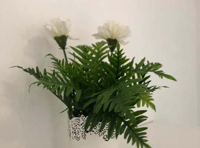 Panoramic N.40 - 2 Bedroom+living With Amazing Views * Chayofa