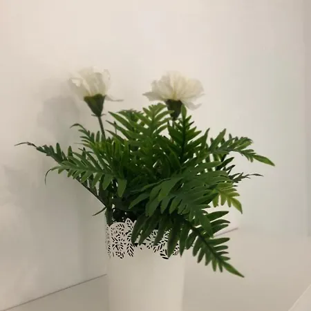 Panoramic N.40 - 2 Bedroom+living With Amazing Views * Chayofa